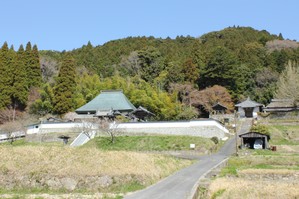 八塔寺全景