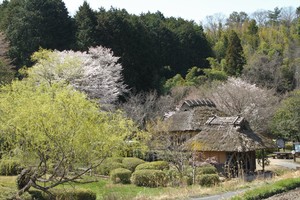 八塔寺からの眺め