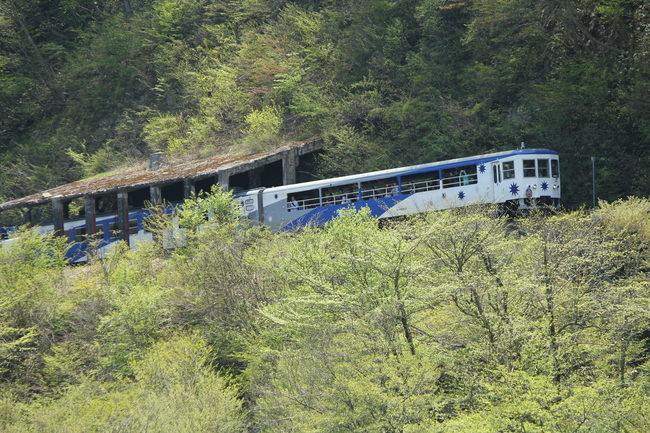 トロッコ列車