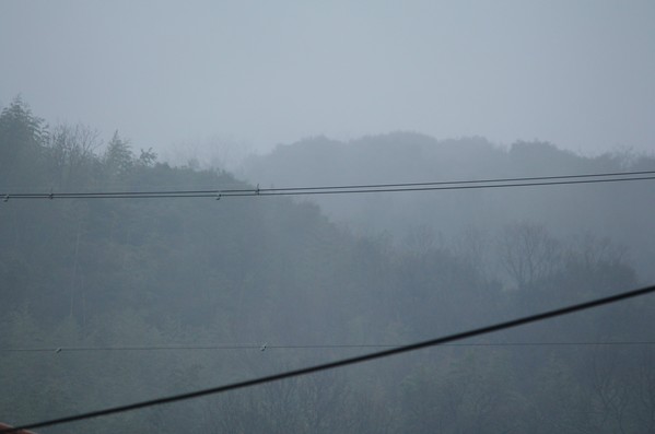 雨に煙る