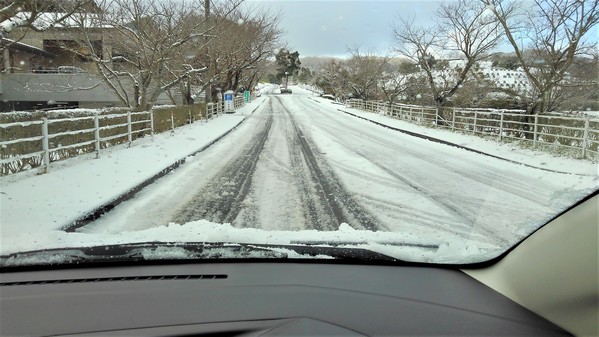 雪道