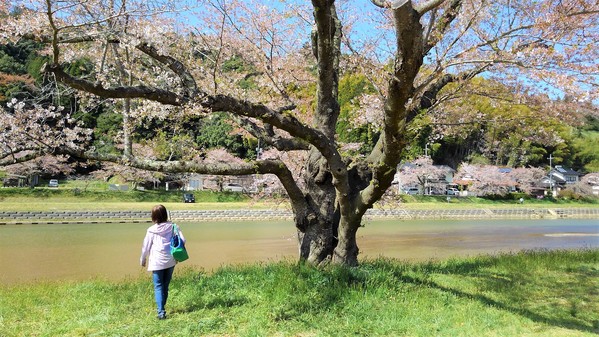 河川敷