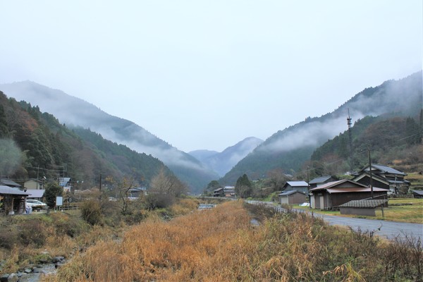 雨の山