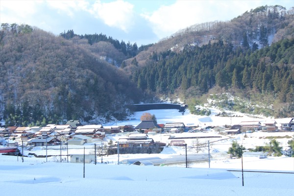 雪に埋もれて