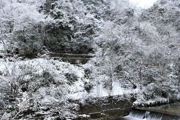 雪景色