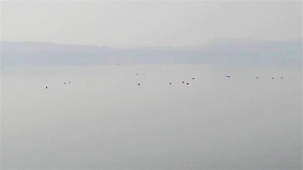 宍道湖