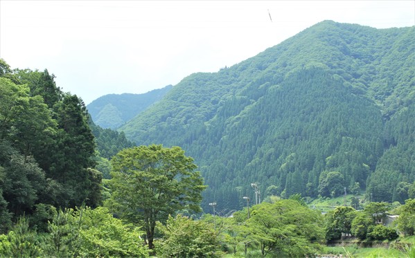 道の駅から