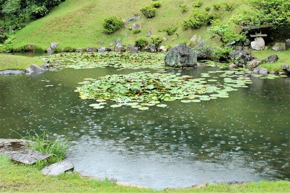 池泉