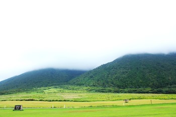 三瓶の霧