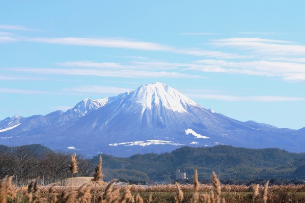 島田２