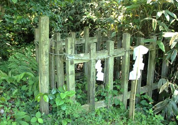 産湯の池