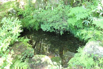 鏡の池
