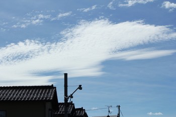 空