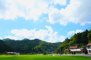 雲