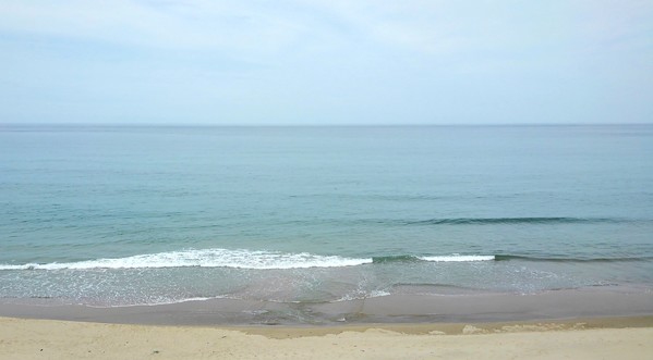 海