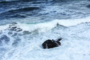 荒海