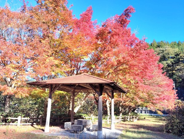 紅葉