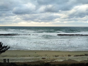 海