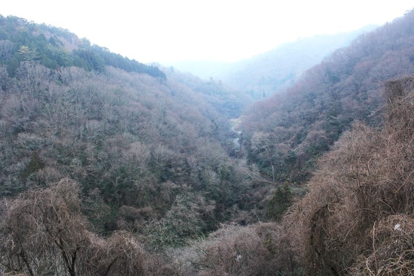 俯瞰の風景