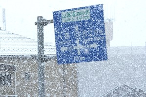 雪が降る