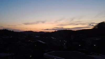 朝