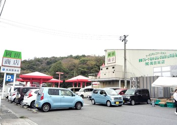岡田商店