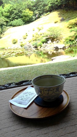 抹茶