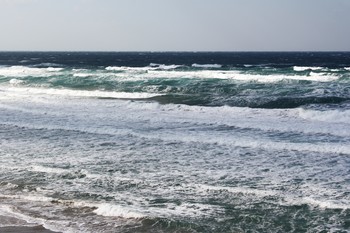 荒れた海