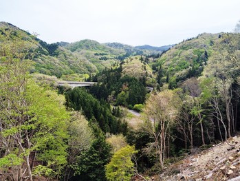 山笑う