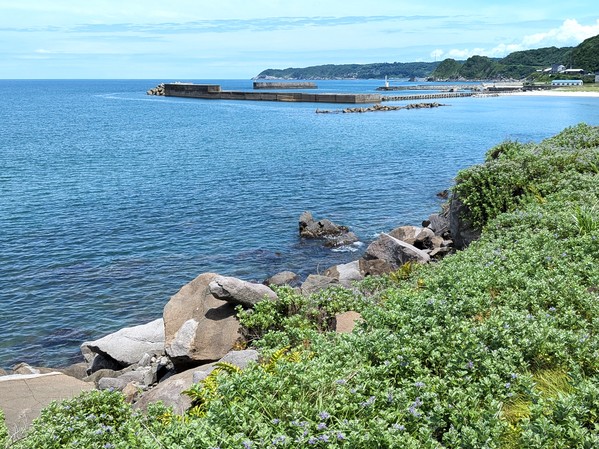 海