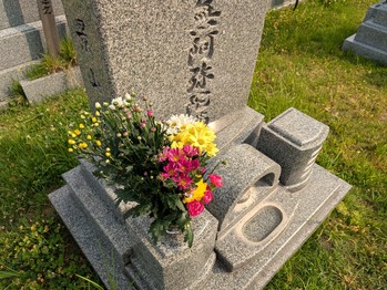 生けられたた花