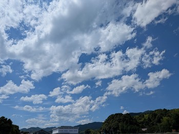 雲