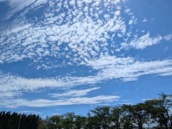 秋の雲